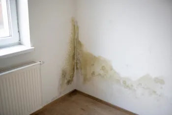 Pourquoi votre maison sent mauvais malgré le ménage? Causes et solutions