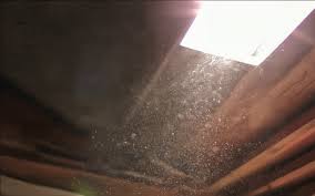 Pourquoi l’air intérieur est plus pollué qu’on ne le pense ?